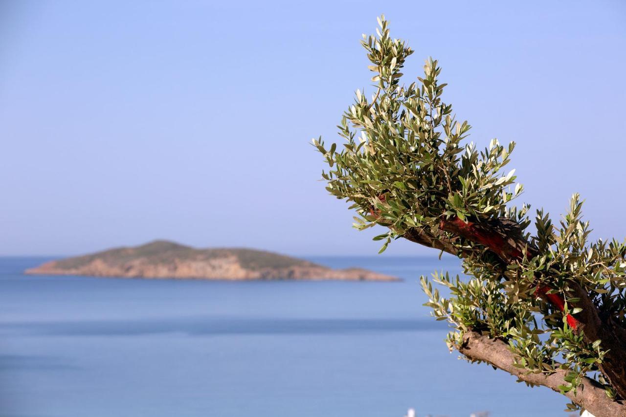 Elia Privileged Suites Andros Ανδροσ Exterior photo